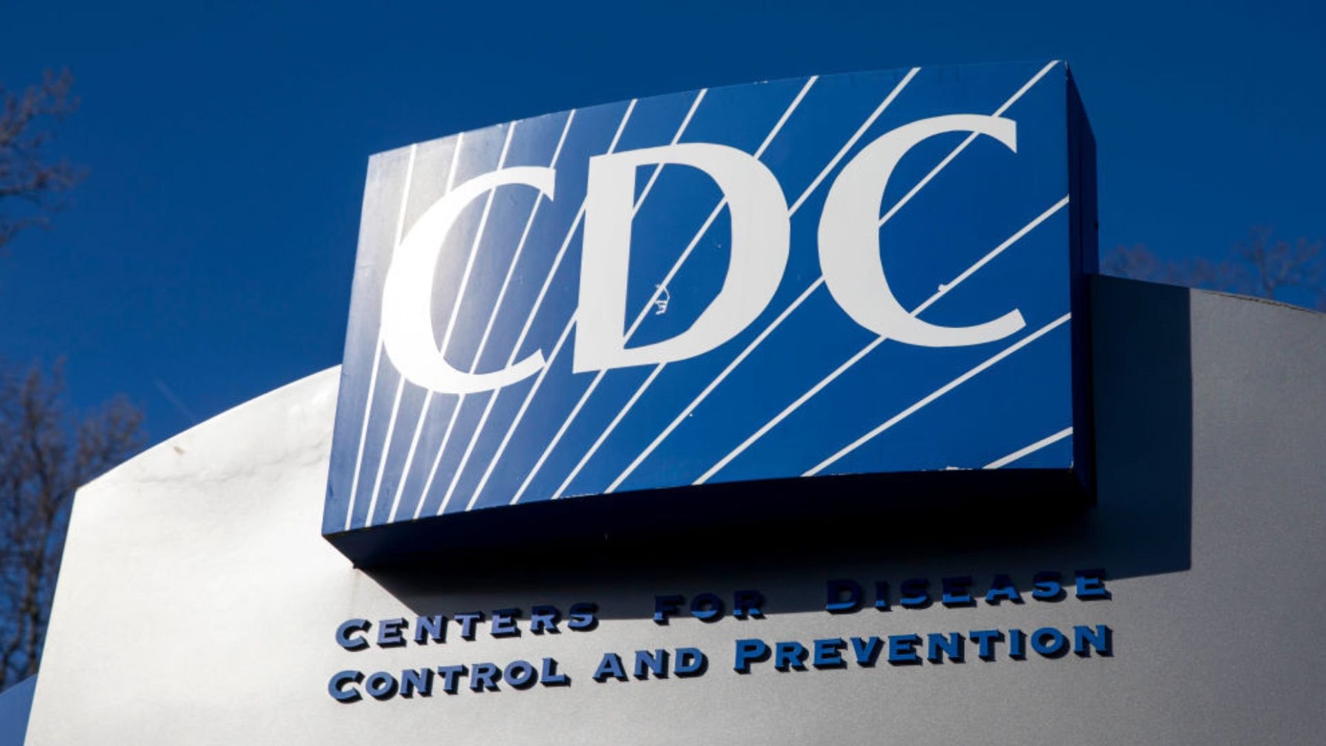 Breathtaking Cdc Director Fired Update Background Concept Breathtaking Cdc Director Fired Update Background Concept